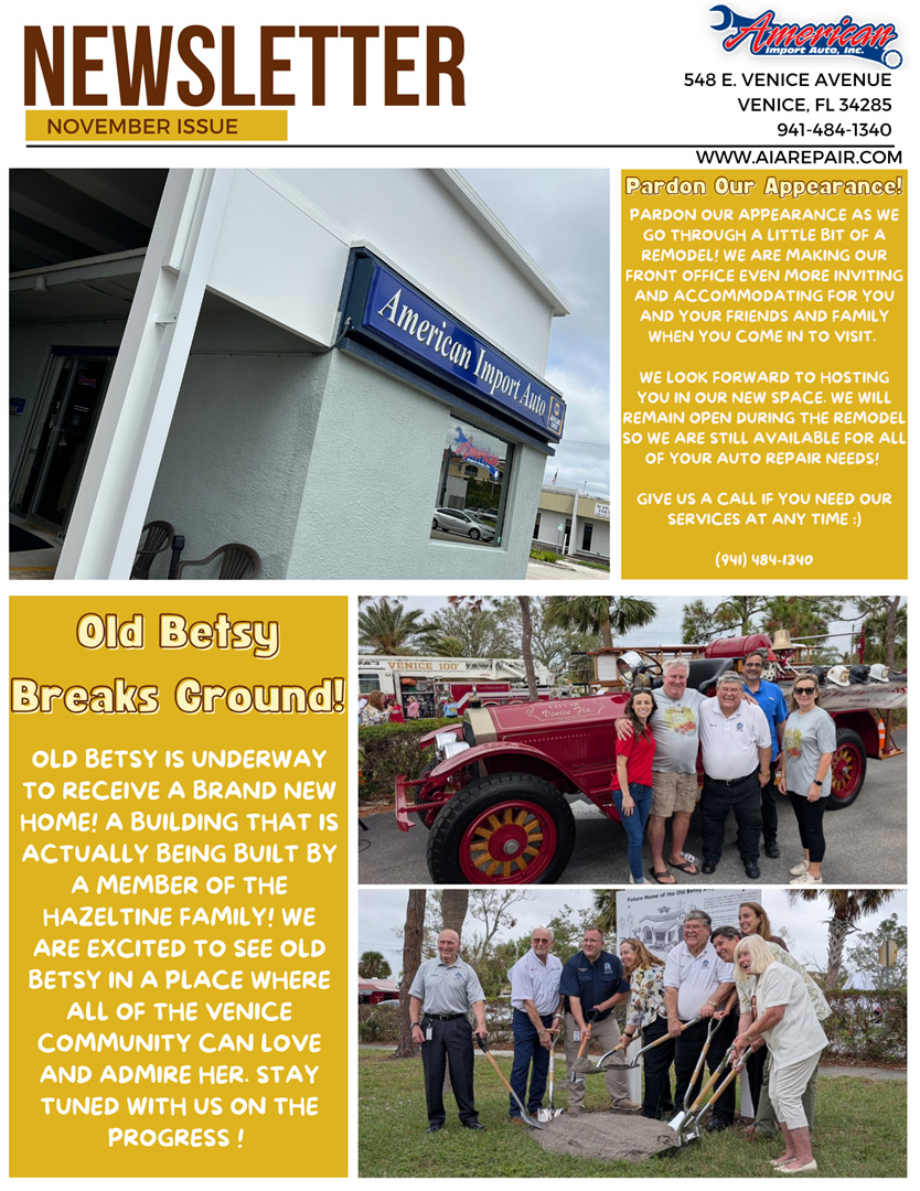 Newsletter November Issue | American Import Auto